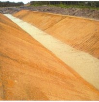 Primary Canal - After application of Geocrete