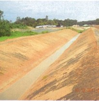 Primary Canal - After application of Geocrete