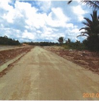 Farm Road - After Application of Geocrete