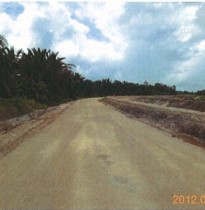 Farm Road - After Application of Geocrete