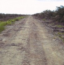 Existing condition of the road before stabilisation