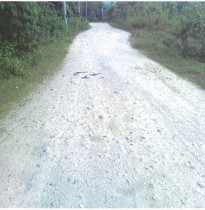 Existing road before stabilzation