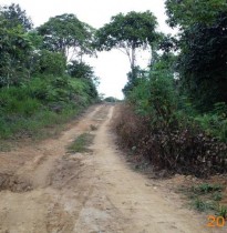 Existing site condition - Farm road