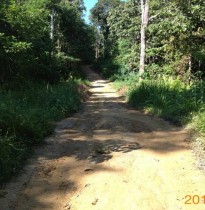Existing site condition - Farm road